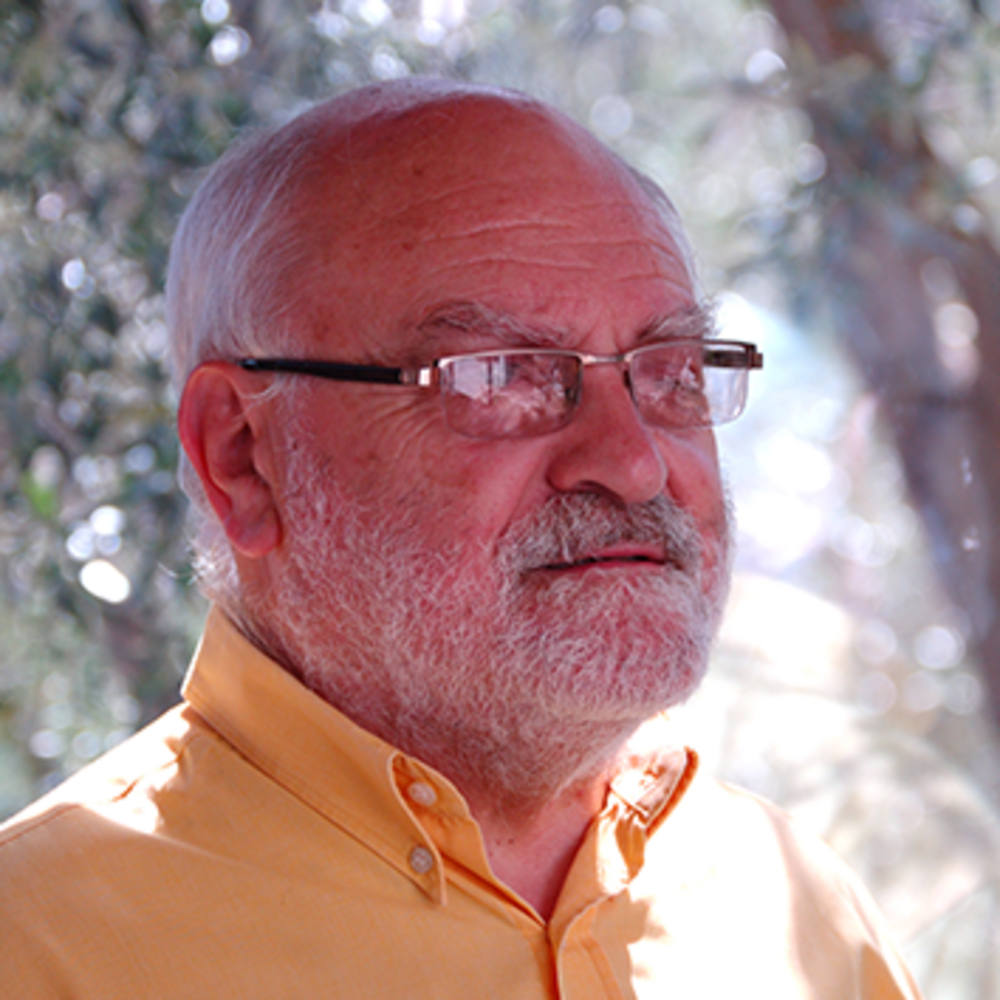 Charles Bottarelli